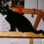 Moritz2