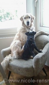 Lola und Yule im Sessel