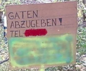 Was wird hier abgegeben?