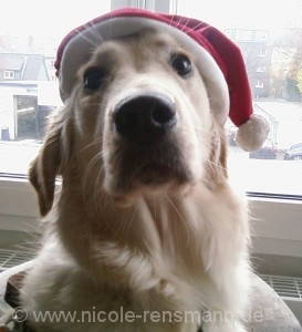 Lola Weihnachtsmann
