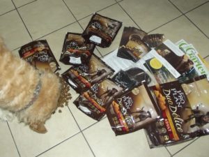 Der große Hund wartet nicht lange.