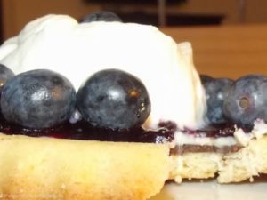 Blaubeertörtchen mit doppelter Schokoladenschicht.