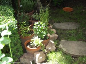 Eine meiner kleinen Kräuterecken im Garten: Rosmarin, Oregano, Salbei, Melisse und verschiedenen Minz-Sorten