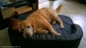 Lola meint: Voll gemütlich!