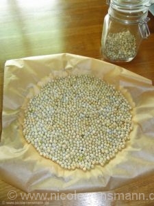 Tarteboden blind gebacken. 
