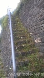Eine verwunschene Treppe, die zu den Weinbergen hinaufführte.