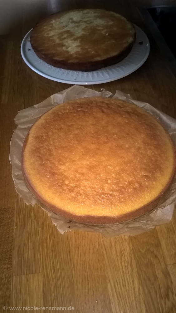 Zwei Böden, gebacken in zwei gleichgroßen Backformen