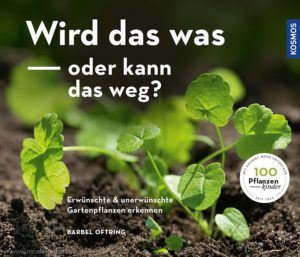 © Cover: »Wird das was oder kann das weg?« von Bärbel Oftring / 