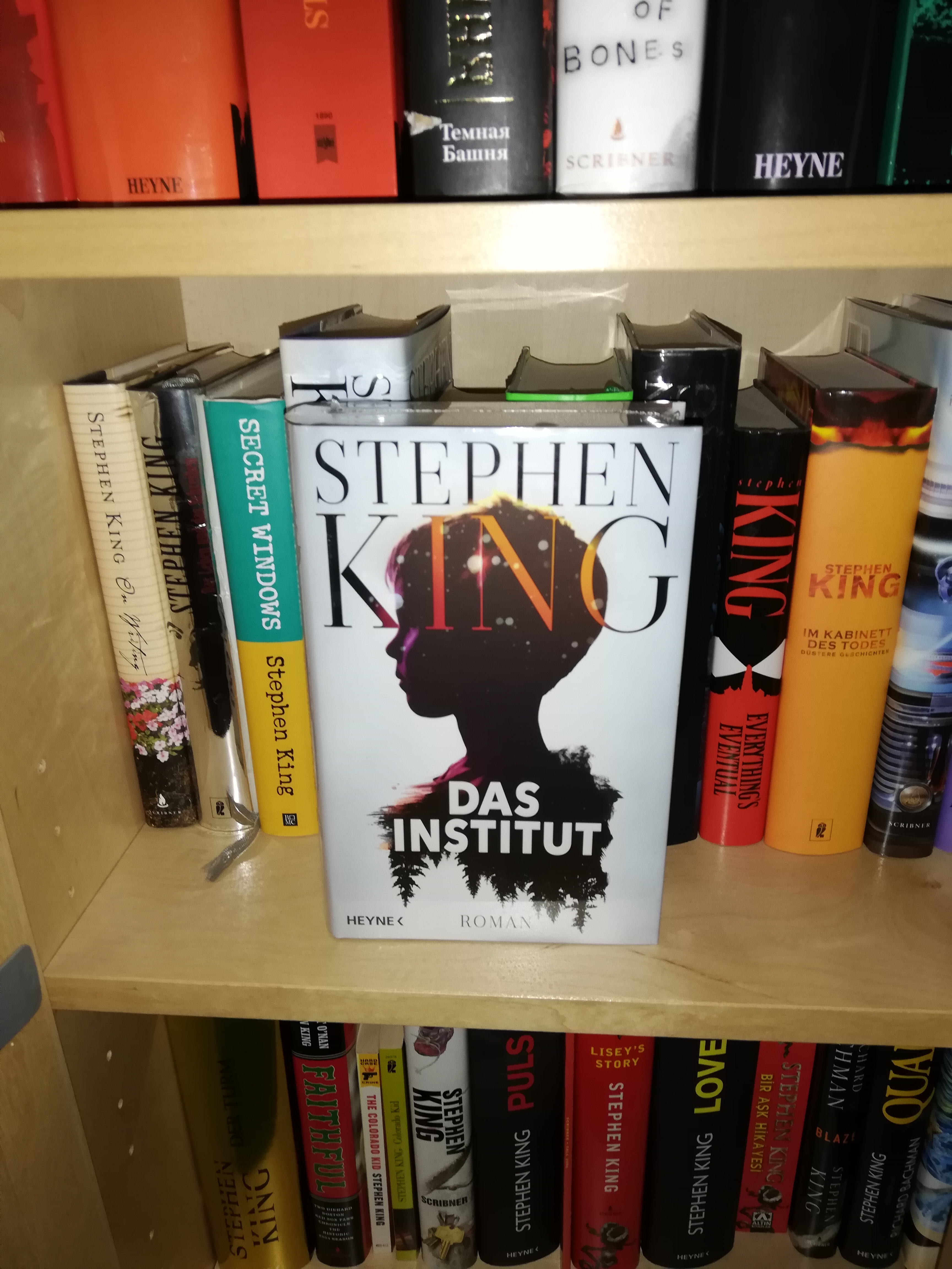 Rezension »Das Institut« von Stephen King / Heyne Verlag Nicole Rensmann / Alltagskrümel