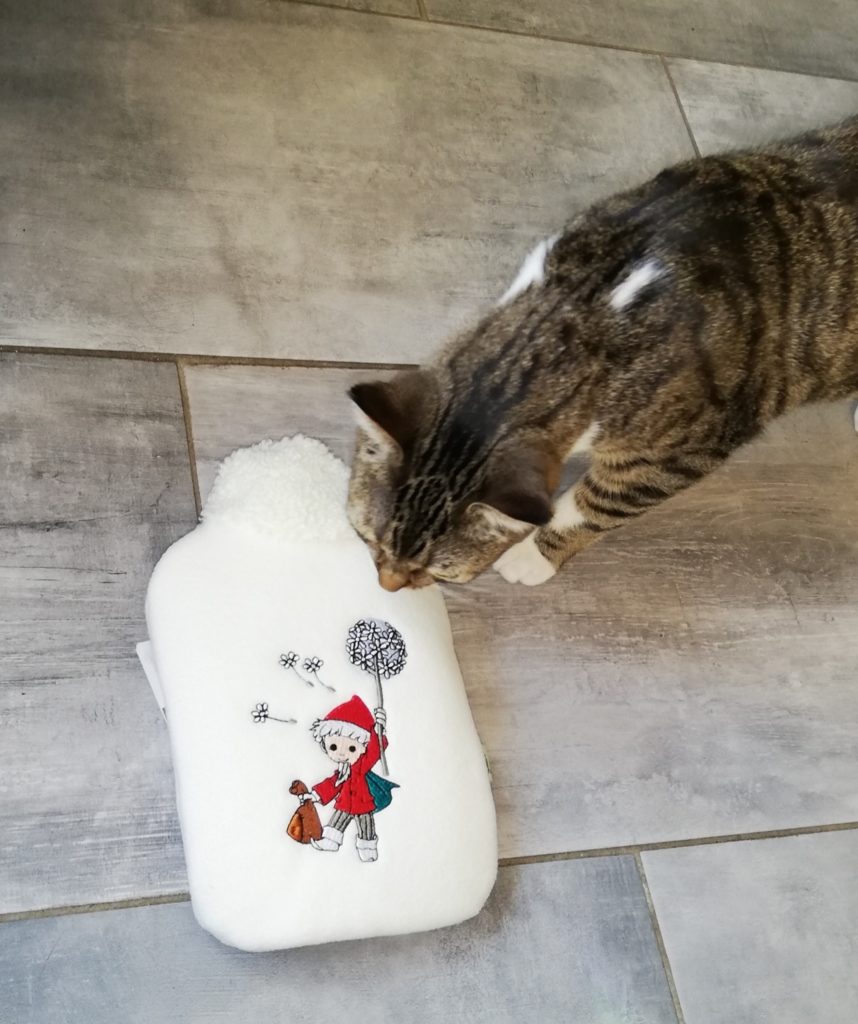 Neugierig beschnuppert die Katze die Wärmflasche.