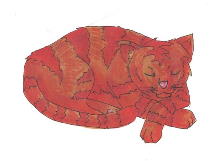 Von der Katze im Tannenbaum Marie, / Bild: © Nero